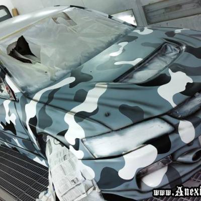 Camouflage Airbrush Painting By Anexitilon