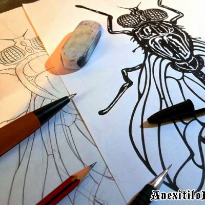 Designing The Fly Art By Anexitilon For The Sacred Tooth Brand